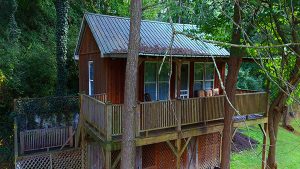 Treetop Cabin Rental Hot SPrings NC